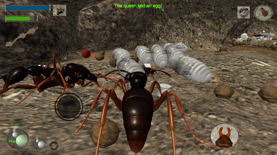 3d蚂蚁模拟器图3
